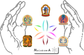 MACADAMIA - Tradičná Tibetská Medicína - Optimum