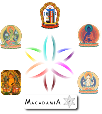 Optimum TTM terapia - vzdialená 20 minút